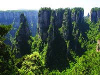 Ԭ�ҽ��L(f��ng)��